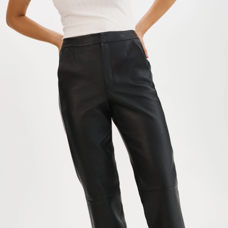 Evin Pant