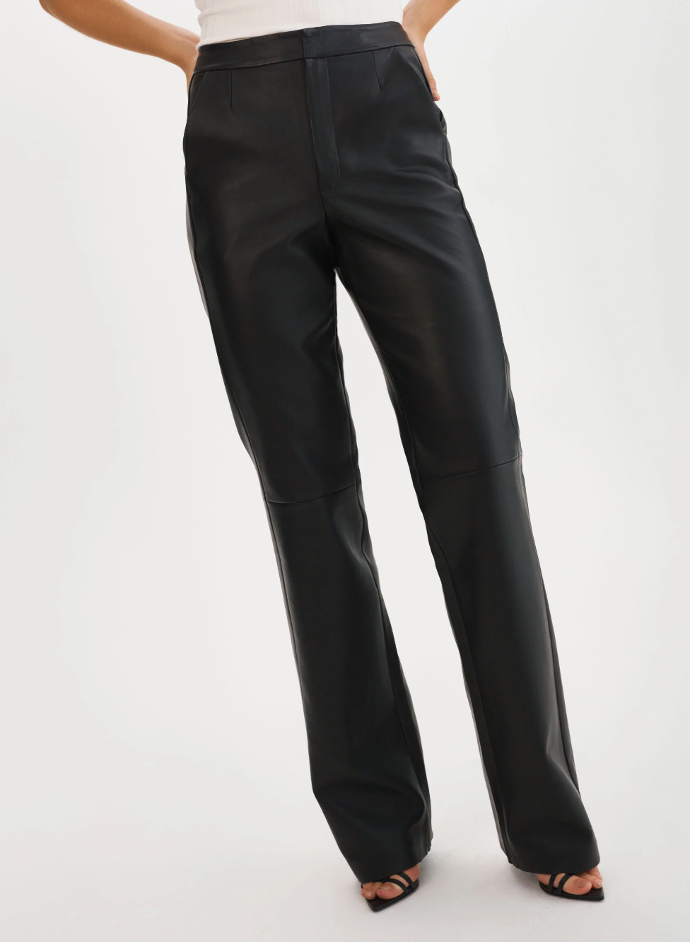 Evin Pant