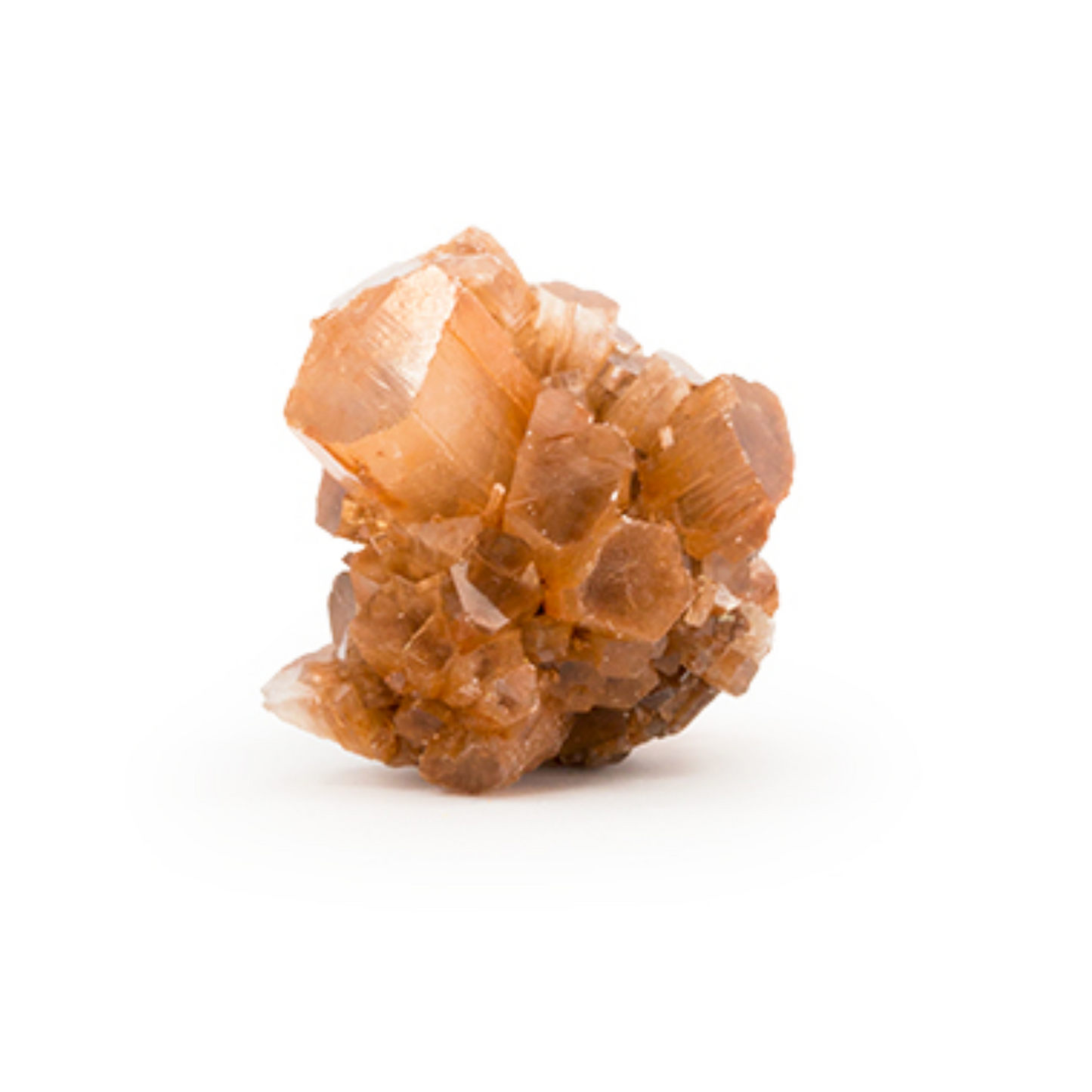 Aragonite Star Cluster