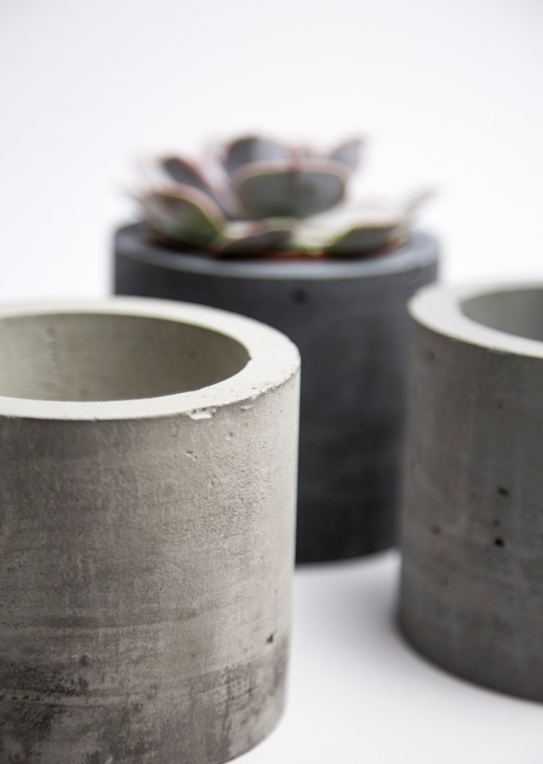 Succulents + Salt Experience