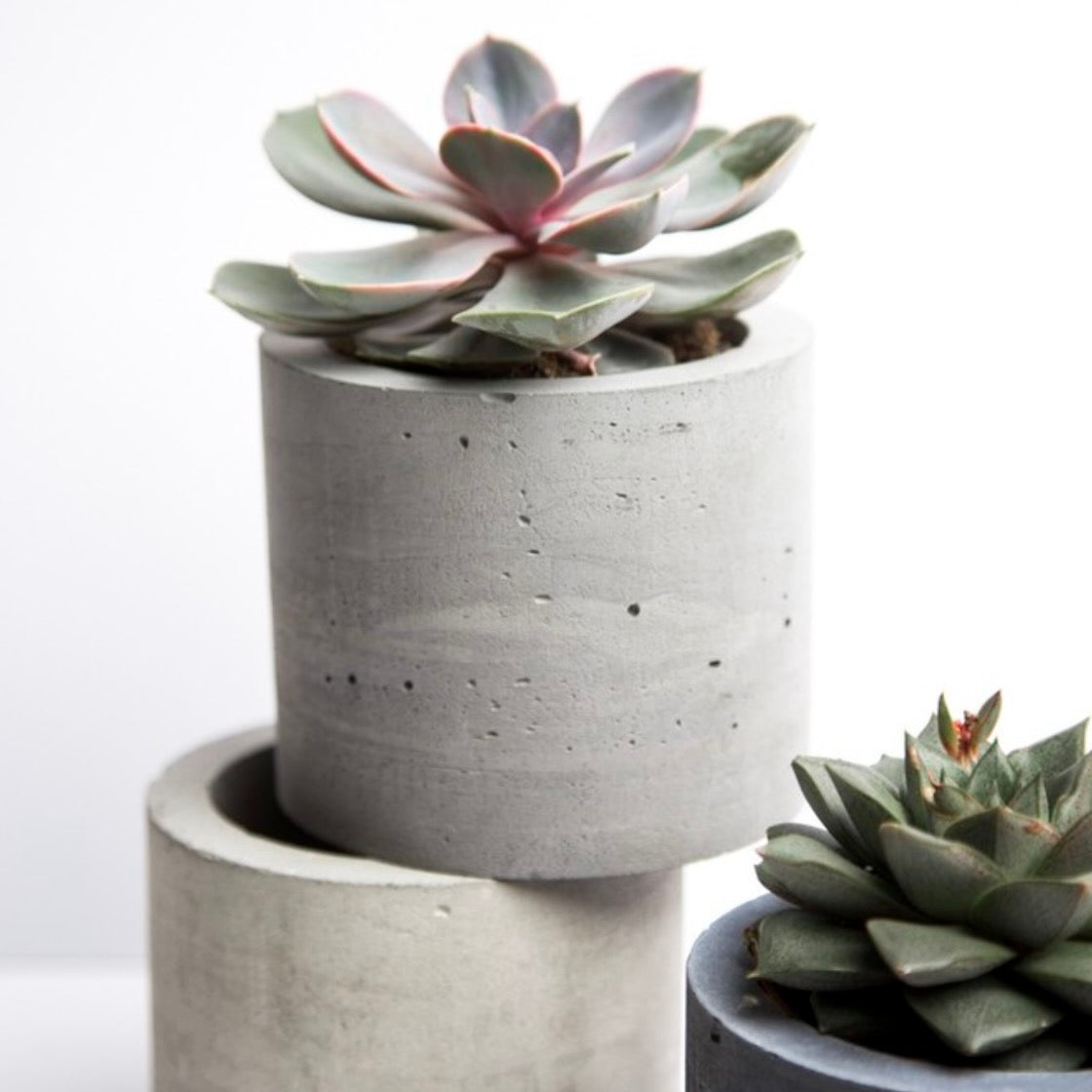 Succulents + Salt Experience