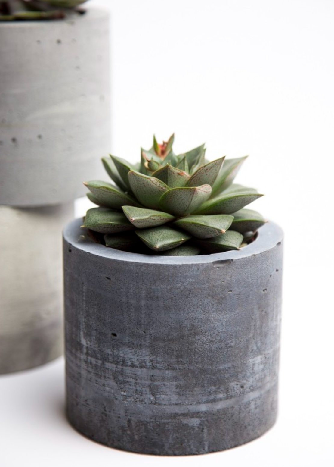 Succulents + Salt Experience