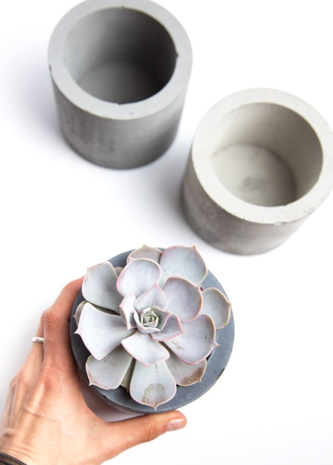 Succulents + Salt Experience